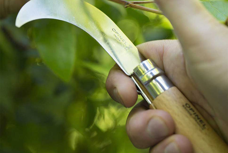 Opinel Serpette N°10 de poche Inox - Manche Hêtre - Lame courbe de 10 cm pliante NYCTALOPE