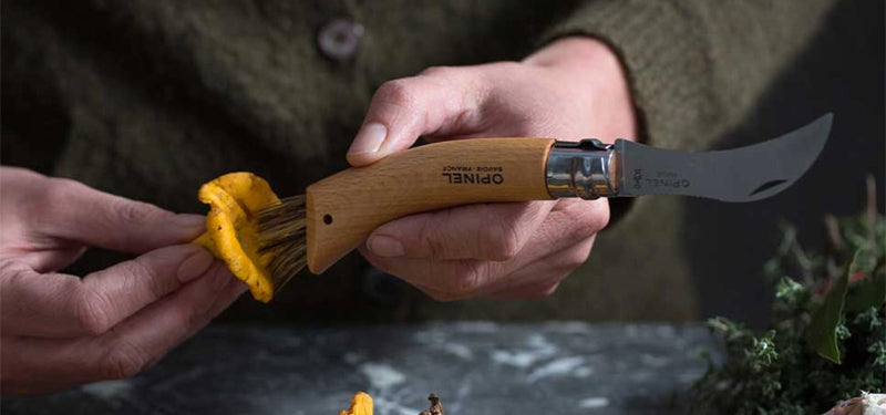 Couteau de poche Opinel Champignon N°08 – Hêtre - couteau à champignon  NYCTALOPE  