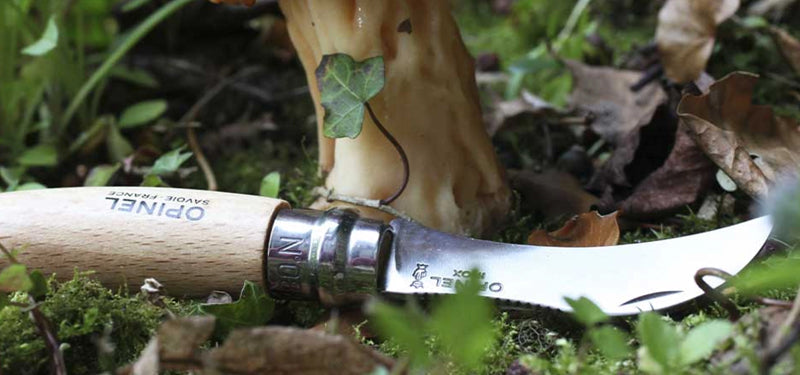 Couteau de poche Opinel Champignon N°08 – Hêtre - couteau à champignon  NYCTALOPE  